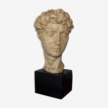 Bust of David signed Santini