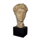 Bust of David signed Santini