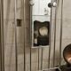 50s coat rack