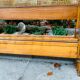 Old canning headboard 160cm