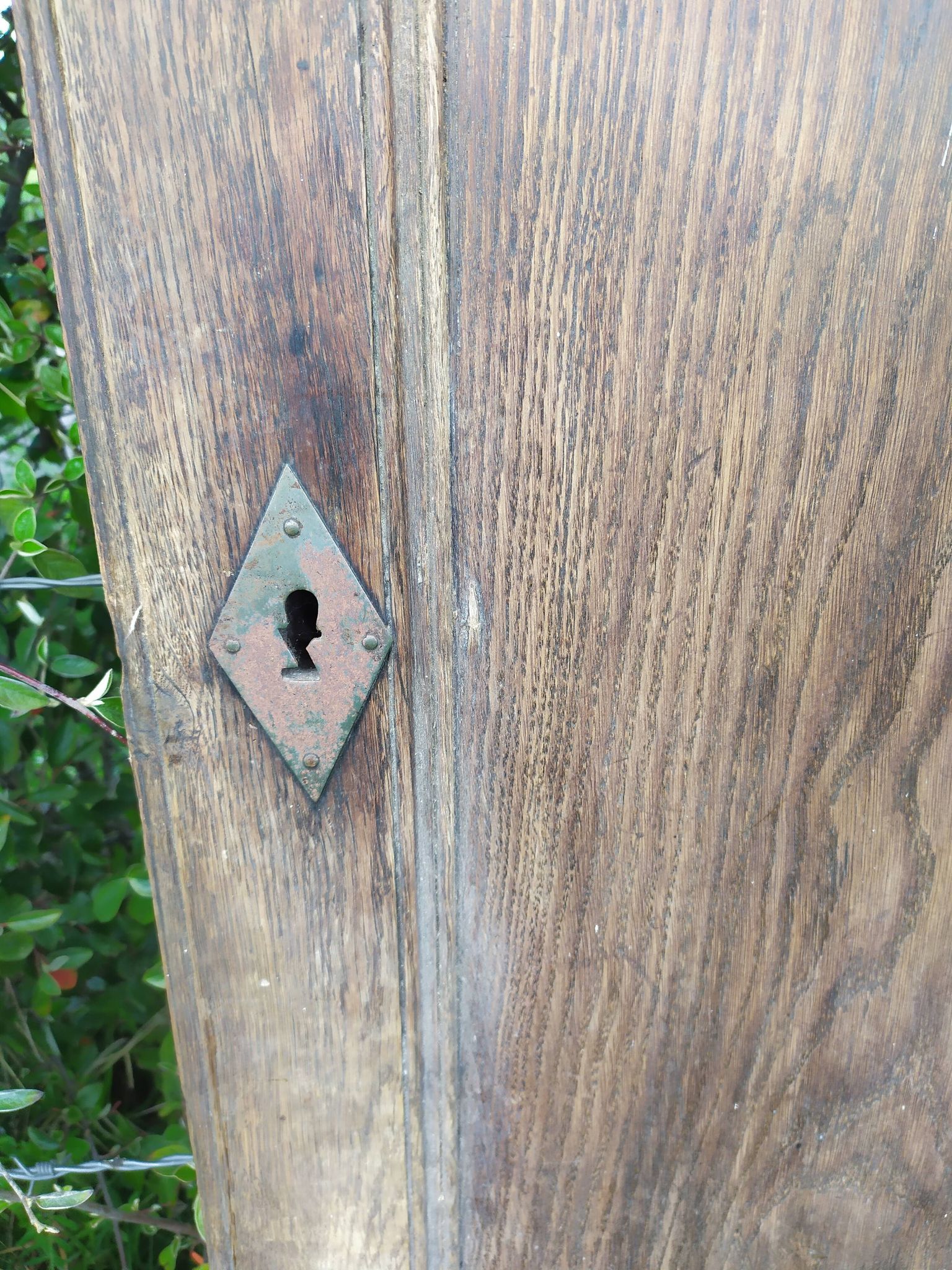 Portes d'armoire en chêne
