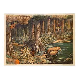 Affiche scolaire La Forêt