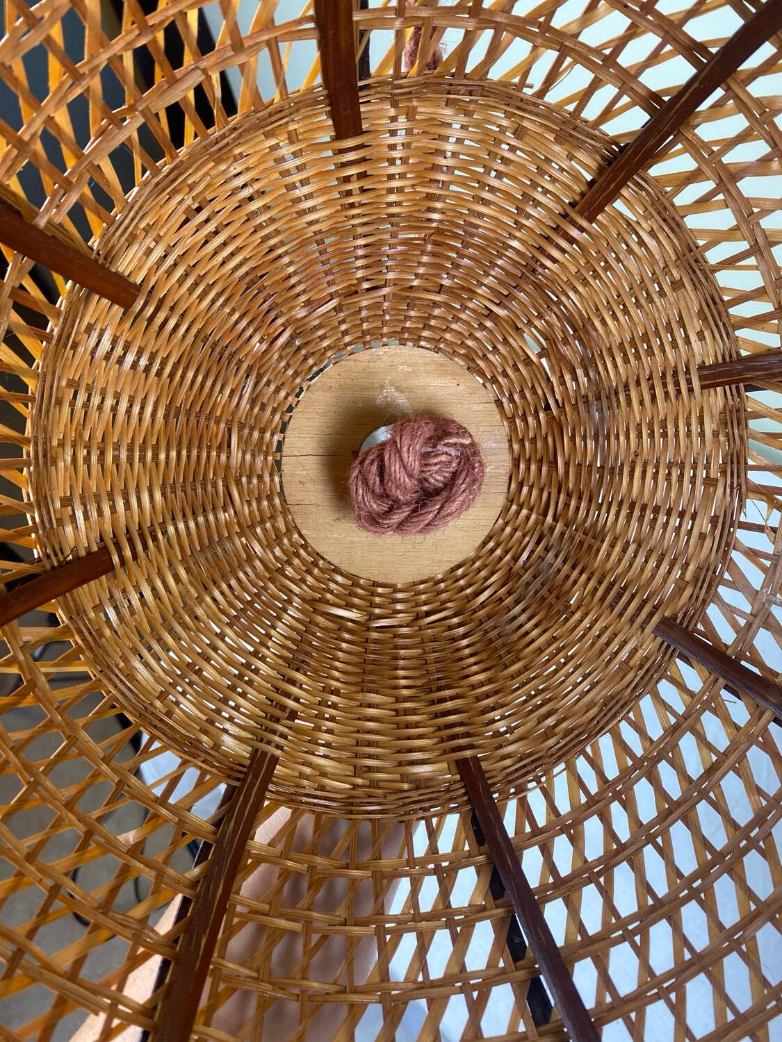 Vintage tulip hanging