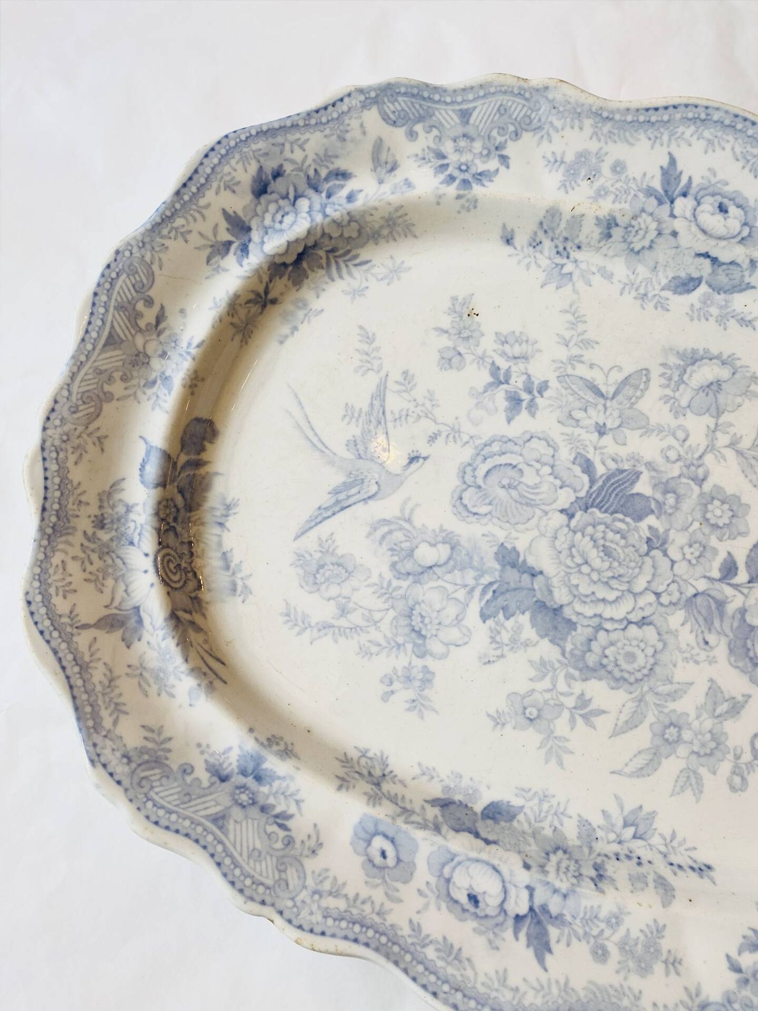 Grand plat ancien anglais « Asiatic Pheasants » – XIXe siècle