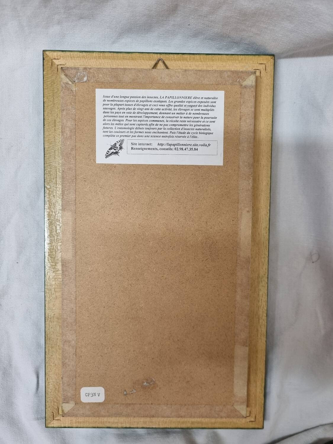 Naturalized butterflies