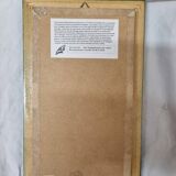 Naturalized butterflies