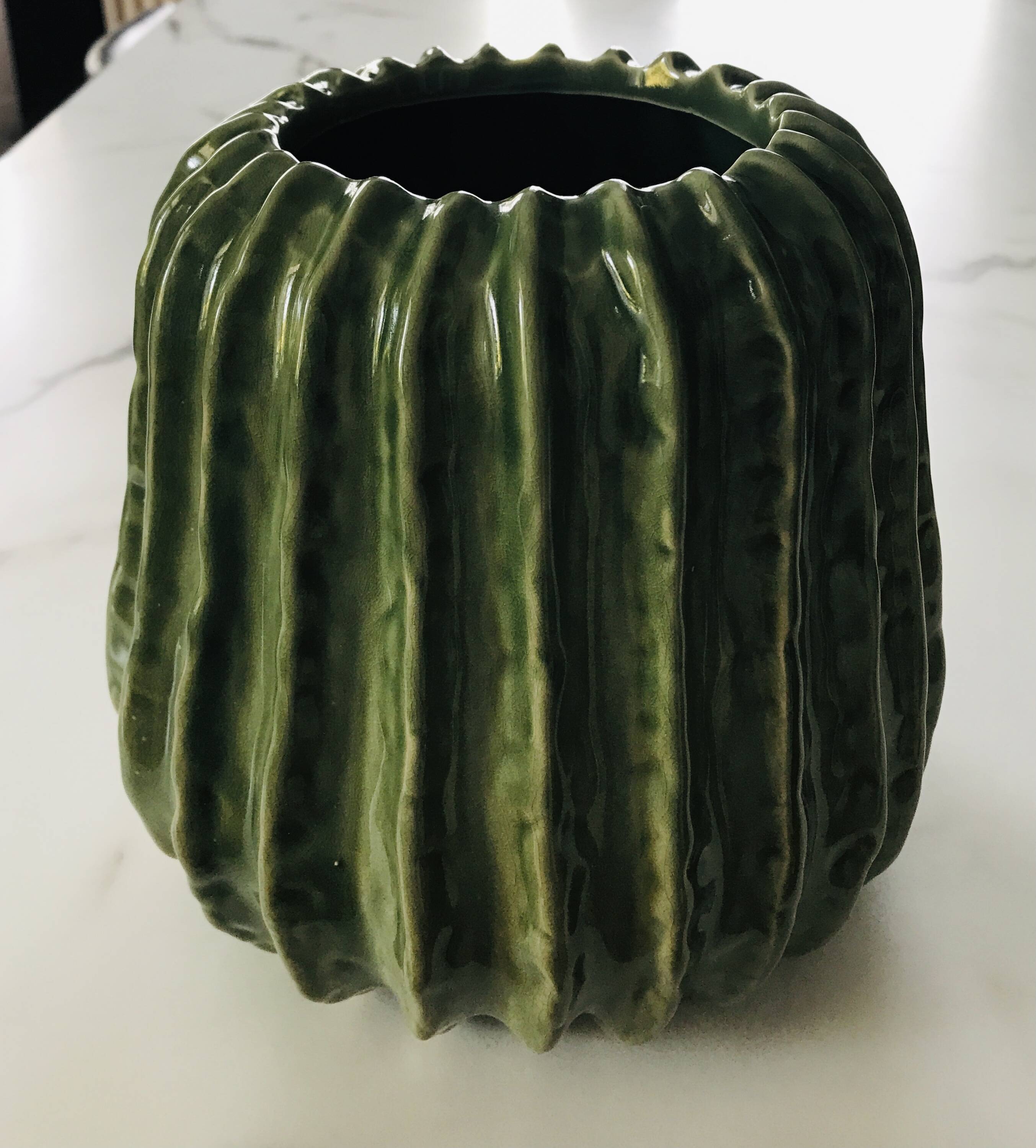 Cactus vase