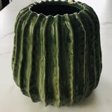 Cactus vase