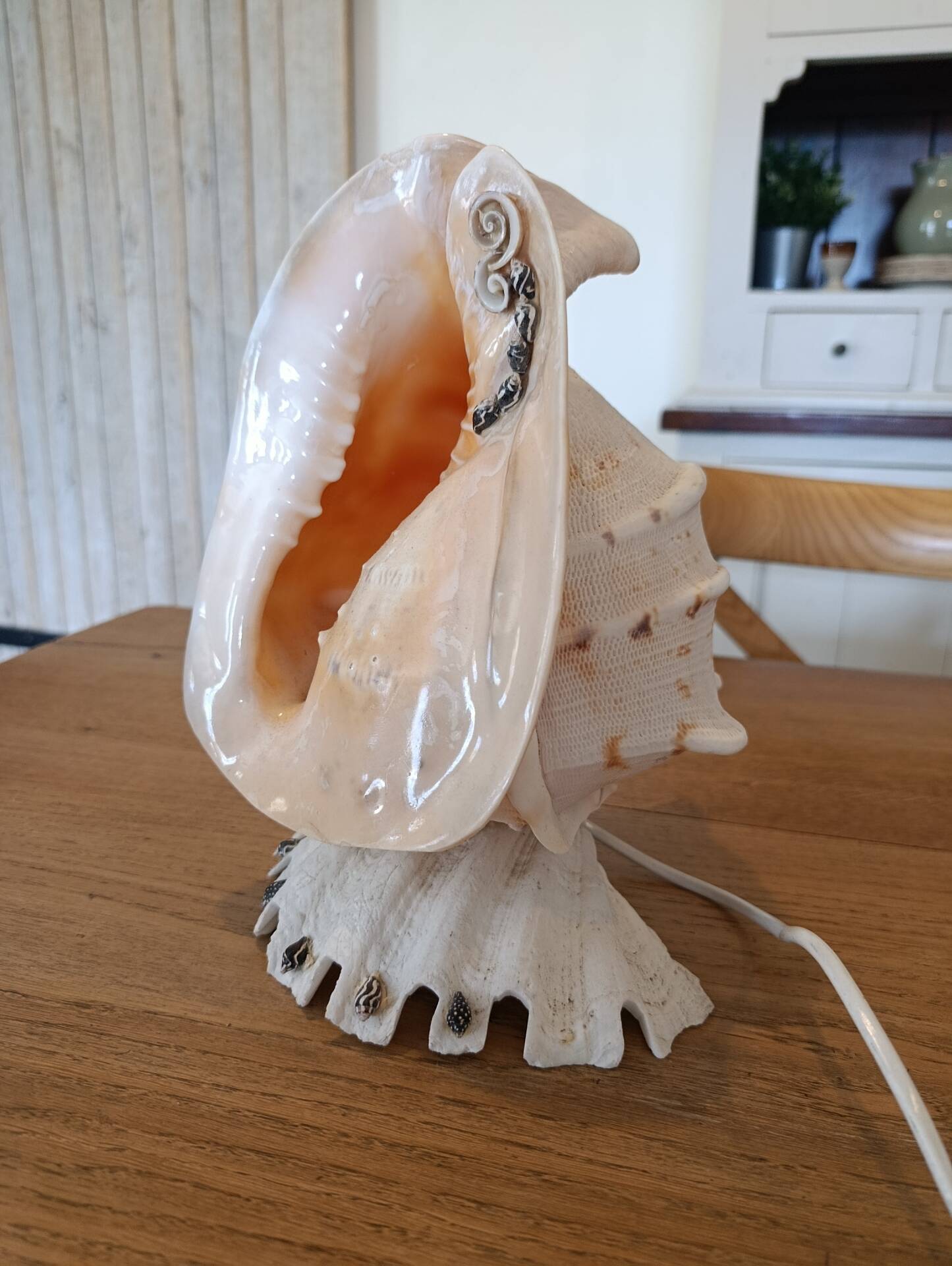 Lampe coquillage vintage