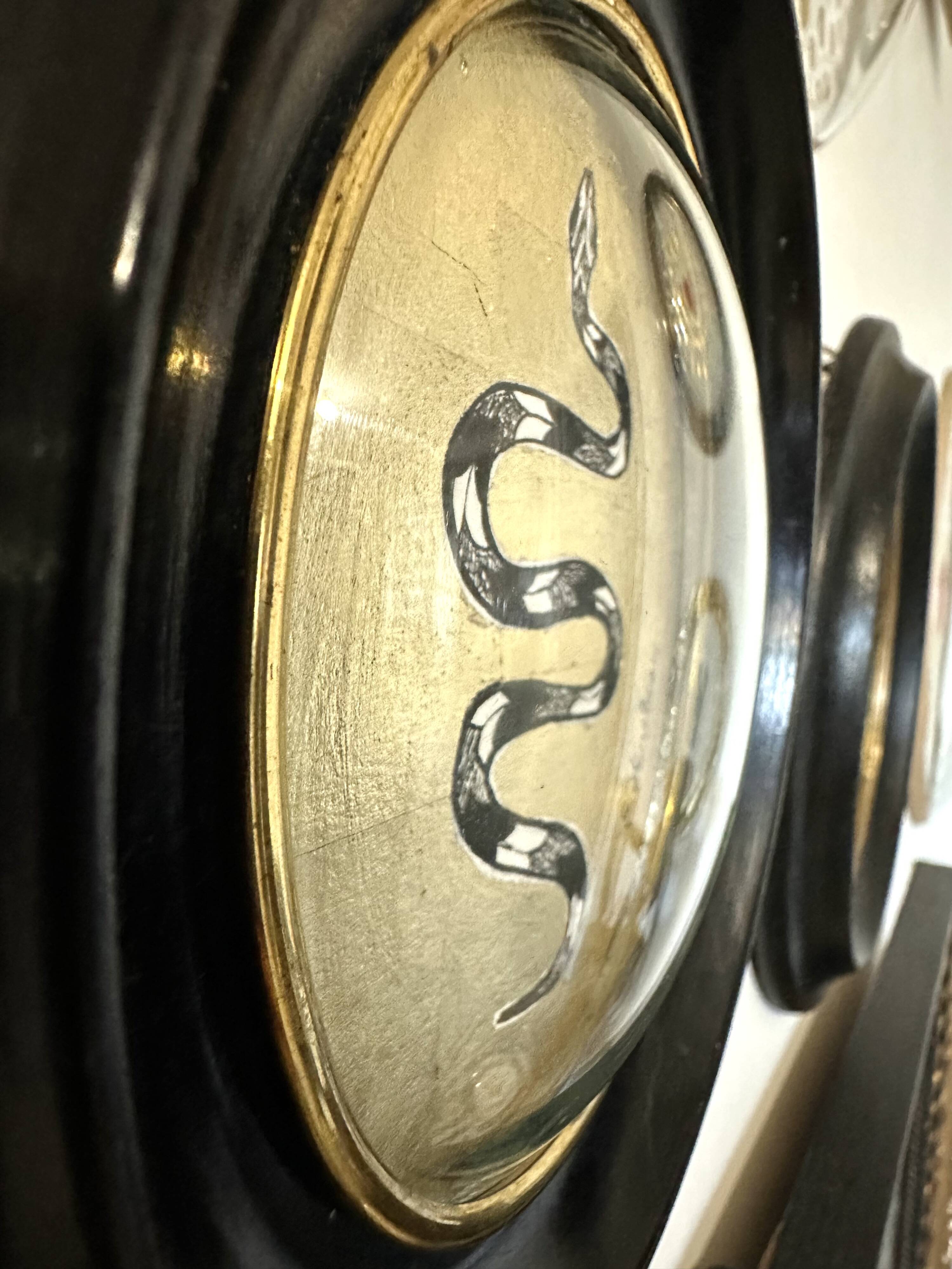 Curved glass snake frame