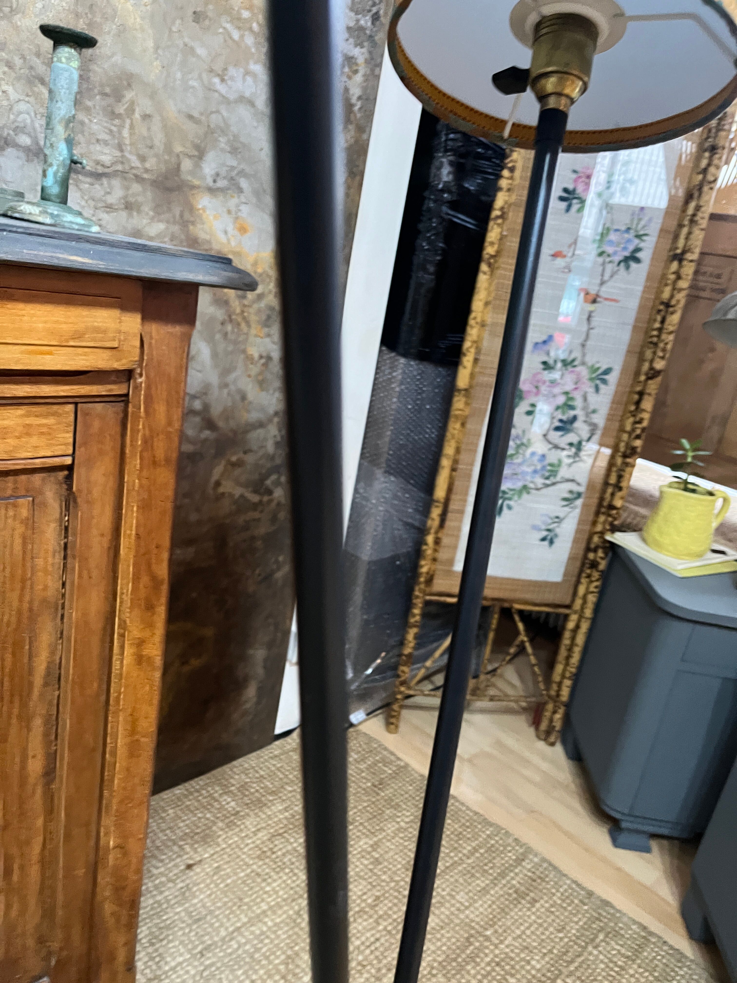 Double foot lamp compass and harness