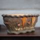 Terracotta planter in a brutalist style resembling a tree trunk, pot cover, countryside.