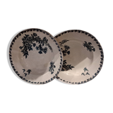 2 hollow iron earthenware plates