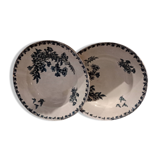 2 hollow iron earthenware plates