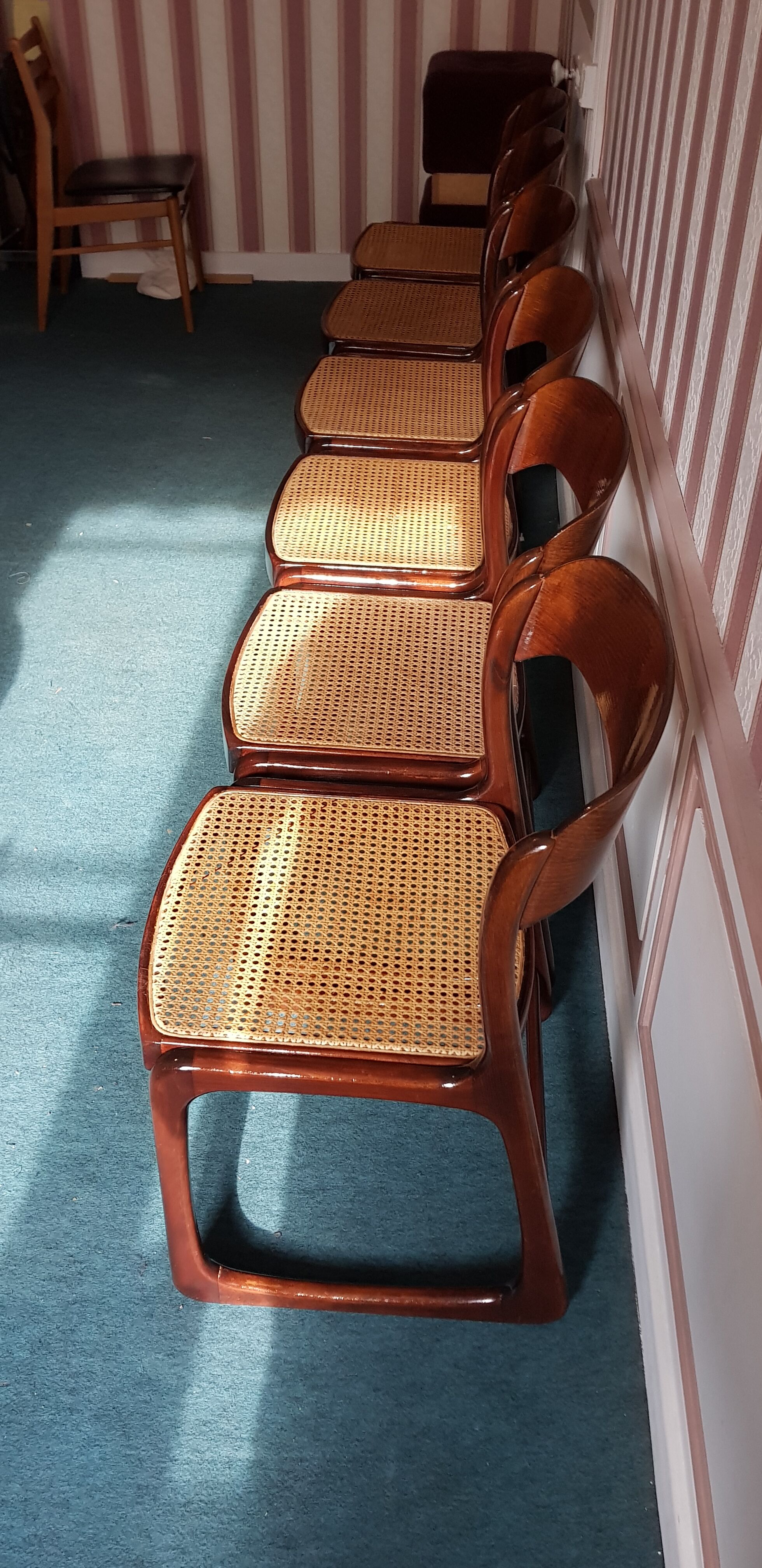 Suite of 6 chairs sleigh Baumann vintage redone