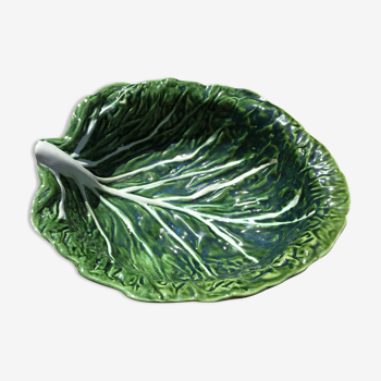 Salad bowl or vegetable cabbage leaf in green slurry