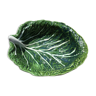 Salad bowl or vegetable cabbage leaf in green slurry