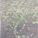 Oriental carpet "modern"  240x170cm