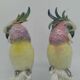 Couple de Cacatoes de Karl Ens