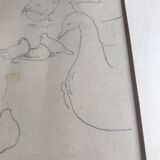 Pencil study signed by Peter Stevenson , Pigeons in NY, 1987