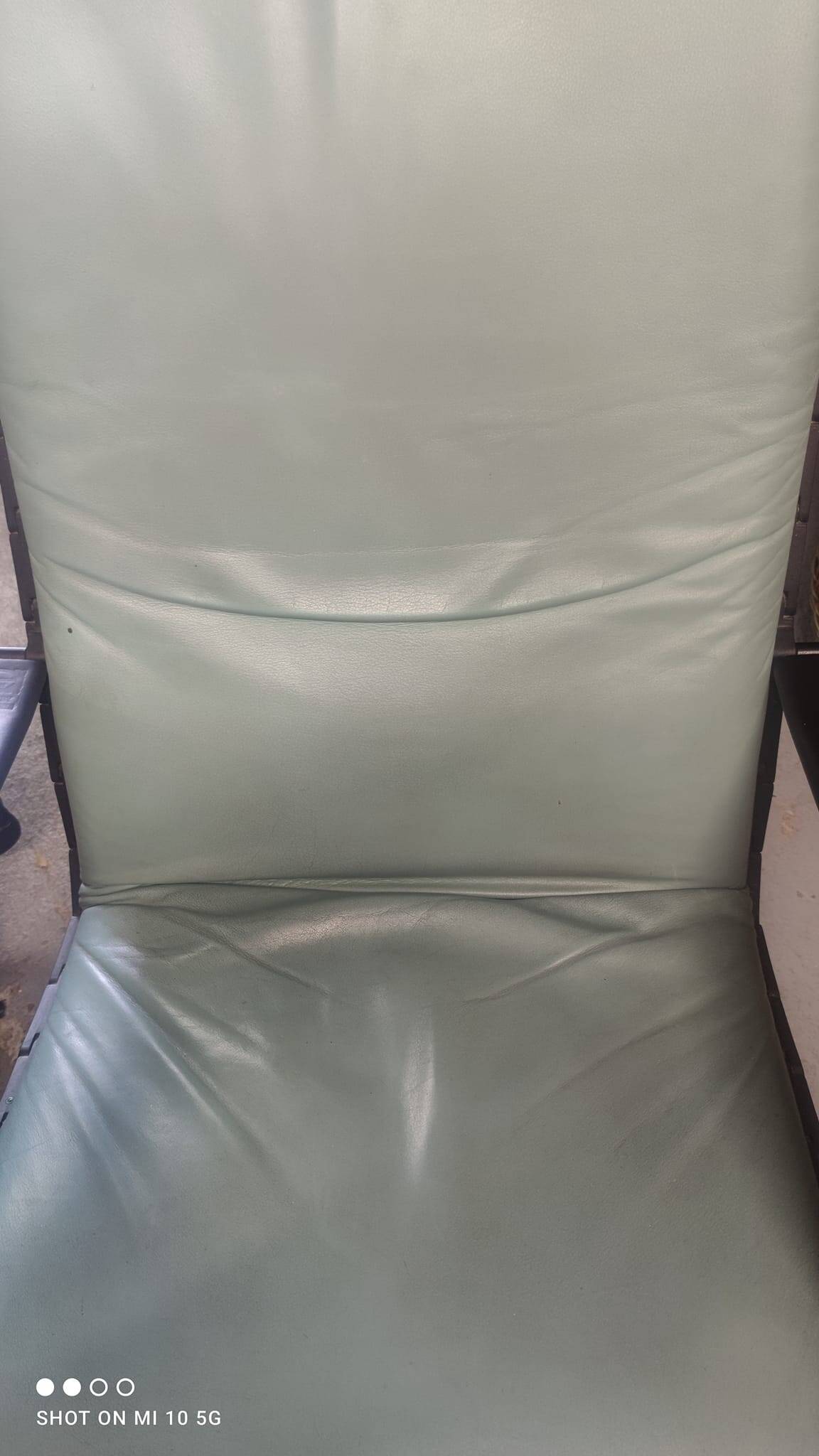 Pair of armchairs model antropovarius ferdinand porsche poltrona frau