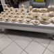 Table service 102 pieces Sarreguemines Obernai 1950s
