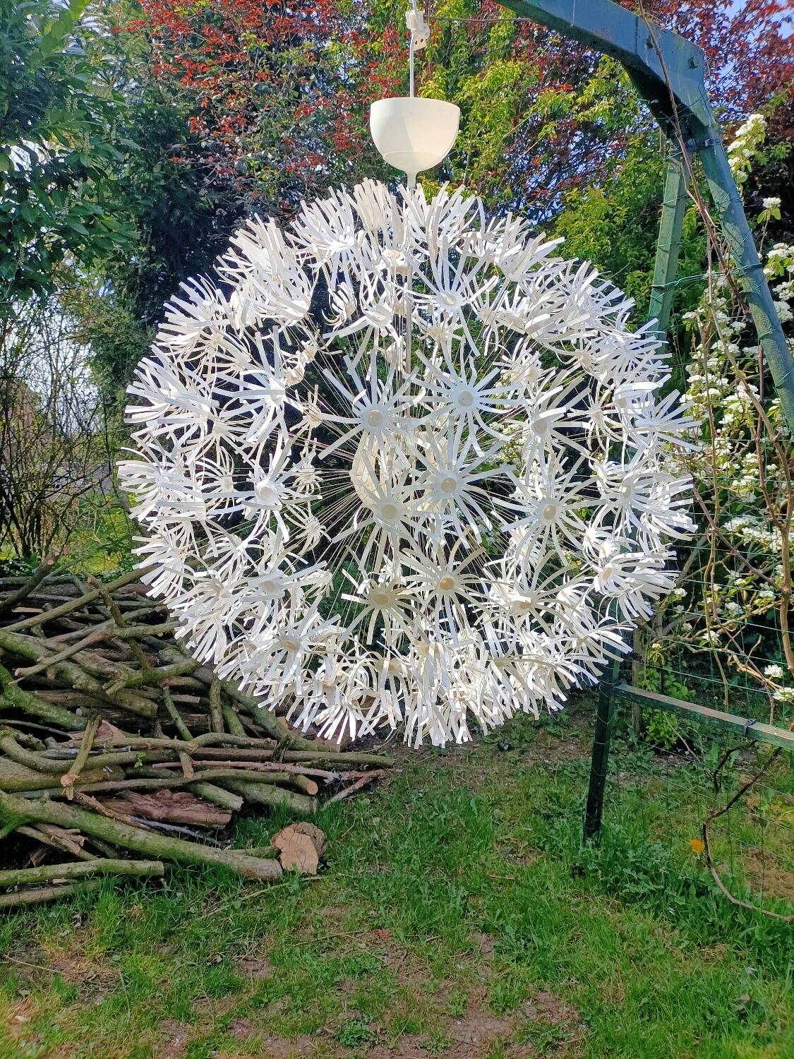 Dandelion pendant light