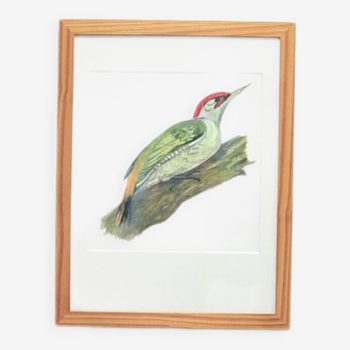 Cadre en bois vintage oiseau peint