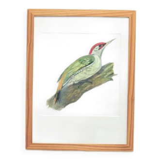 Cadre en bois vintage oiseau peint