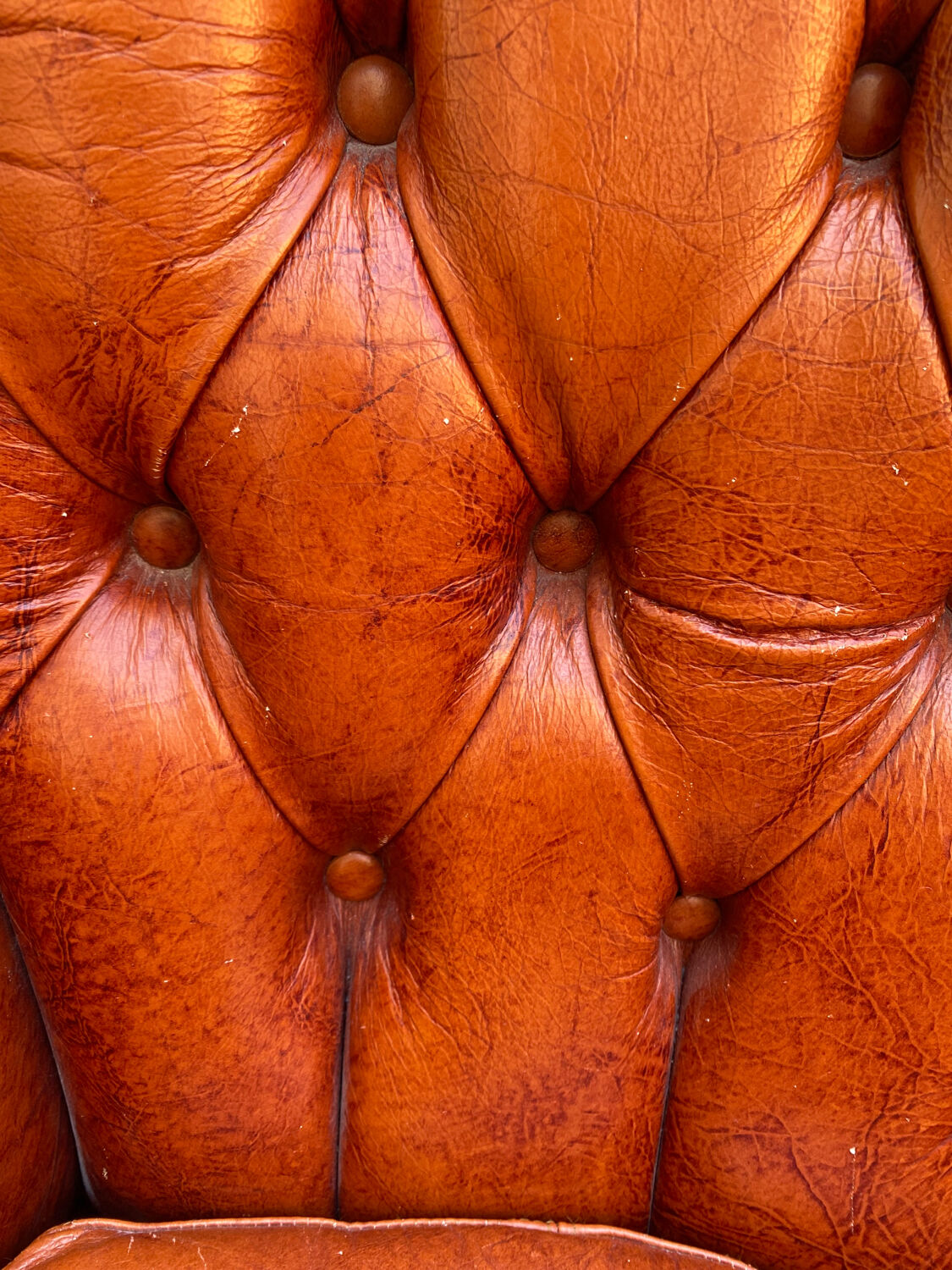 Chesterfield baroque armchairs