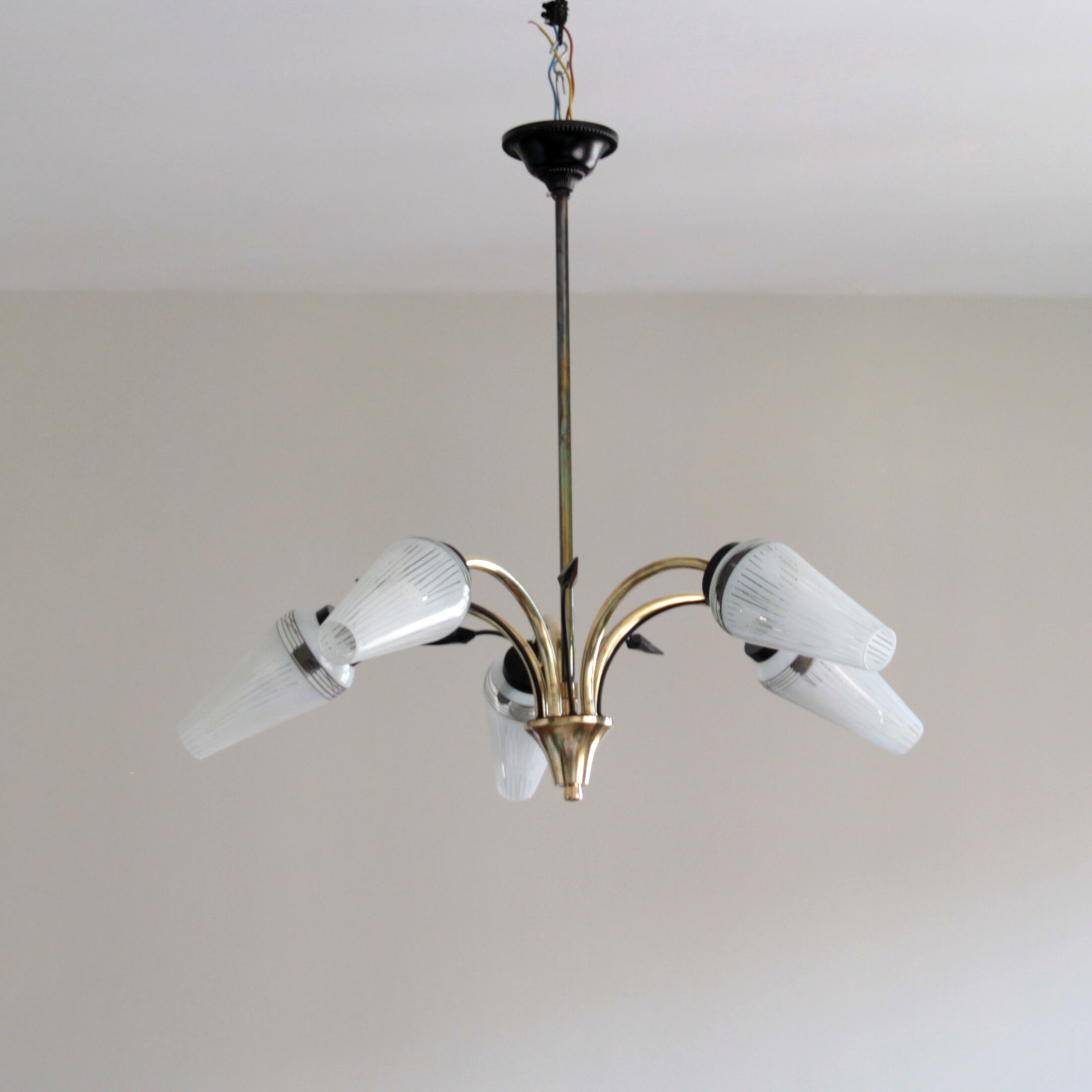 Old chandelier brass and glass tulip 1950 1960 vintage decoration lighting suspension