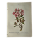 Naturalist Plate – 19th Century Botanical Engraving, Double-Sided