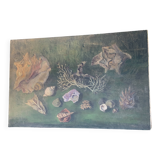 Large painting of shells, cabinet of curiosities, sign, vintage