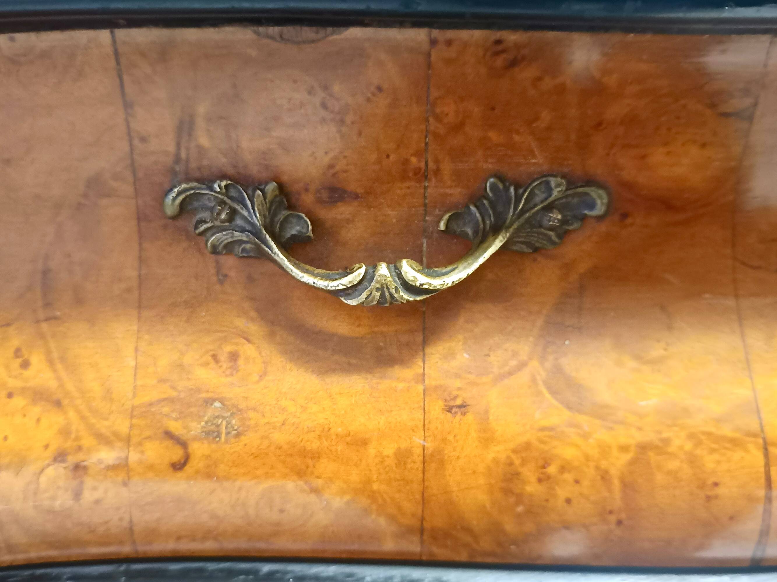 Ebonized Beech and Walnut-Root Cabinet with a Glass Top, Brianza, Italy