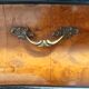 Ebonized Beech and Walnut-Root Cabinet with a Glass Top, Brianza, Italy