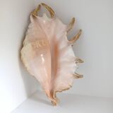 Vintage shell