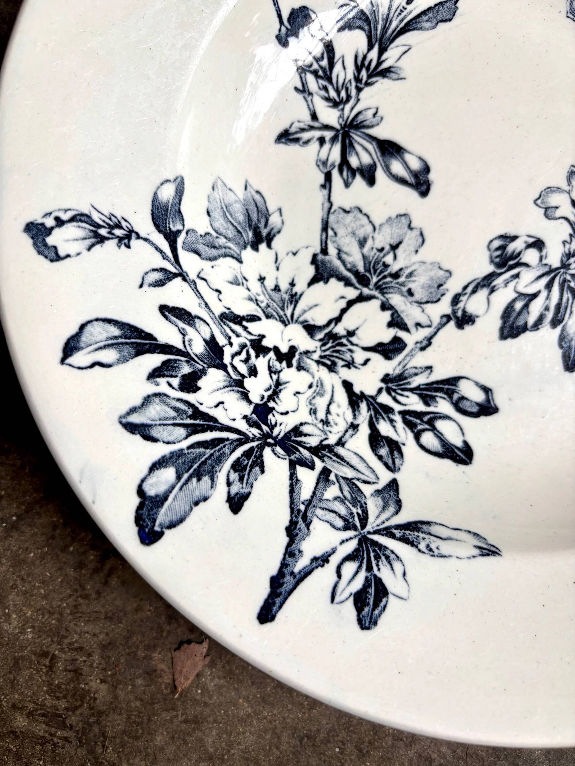 Shallow dish Lunéville in blue ironstone, service "Azalea"