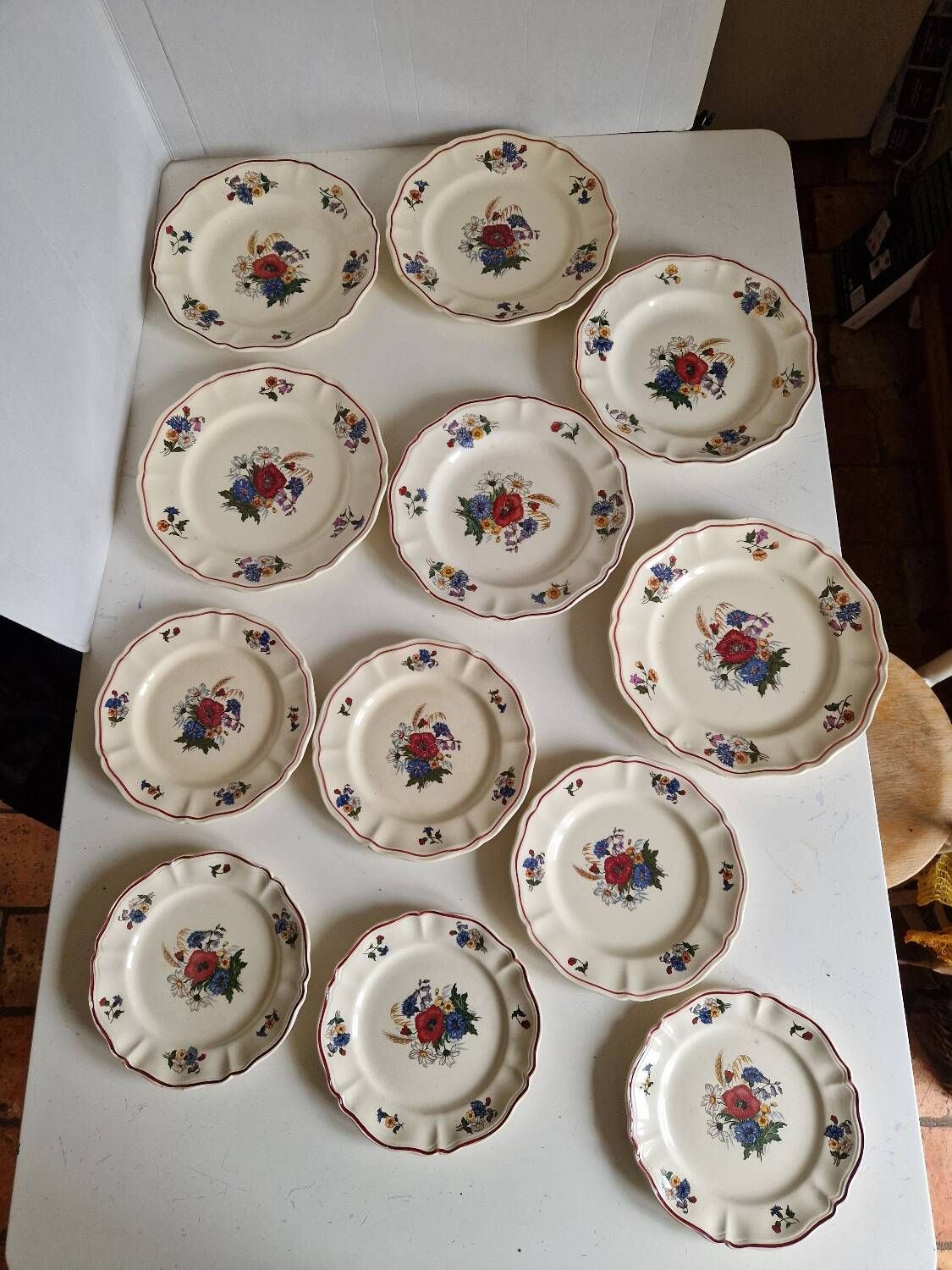 Set of 12 Sarreguemines Plates, Agreste Models