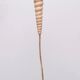 Floor lamp Shell "Ariell" by IIhan Koman 80s