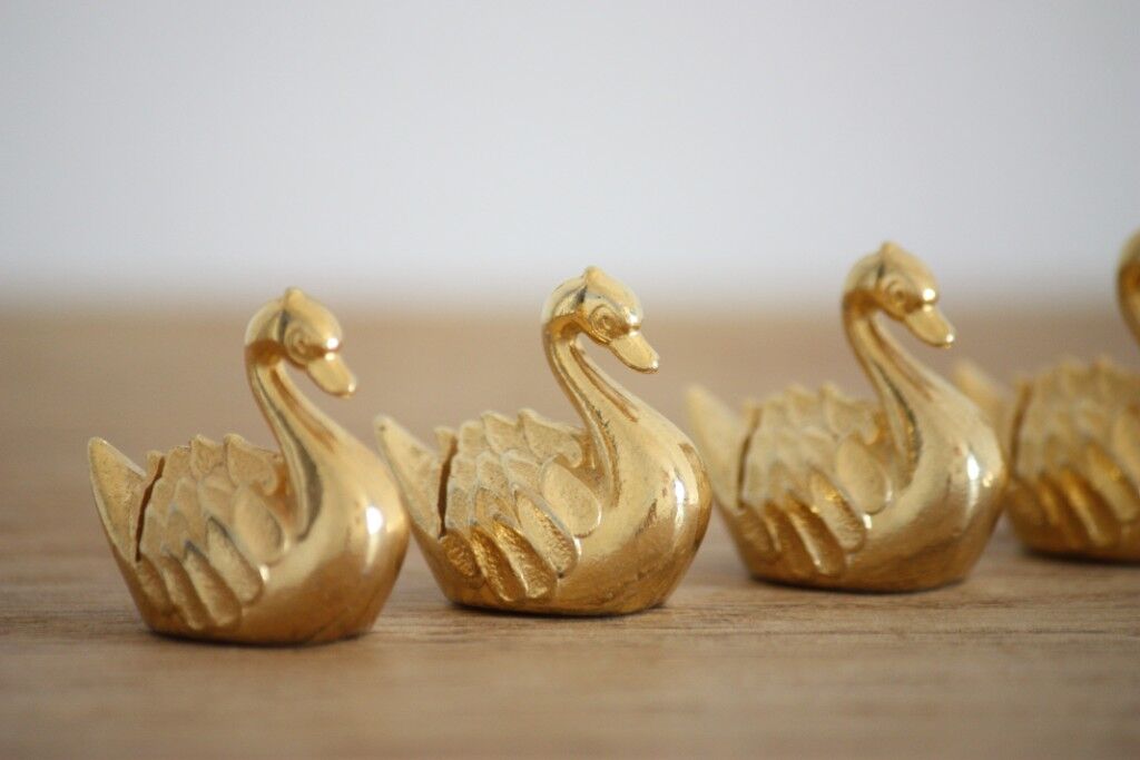6 Golden swans bear name