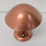 Bauhaus adjustable table lamp,1930