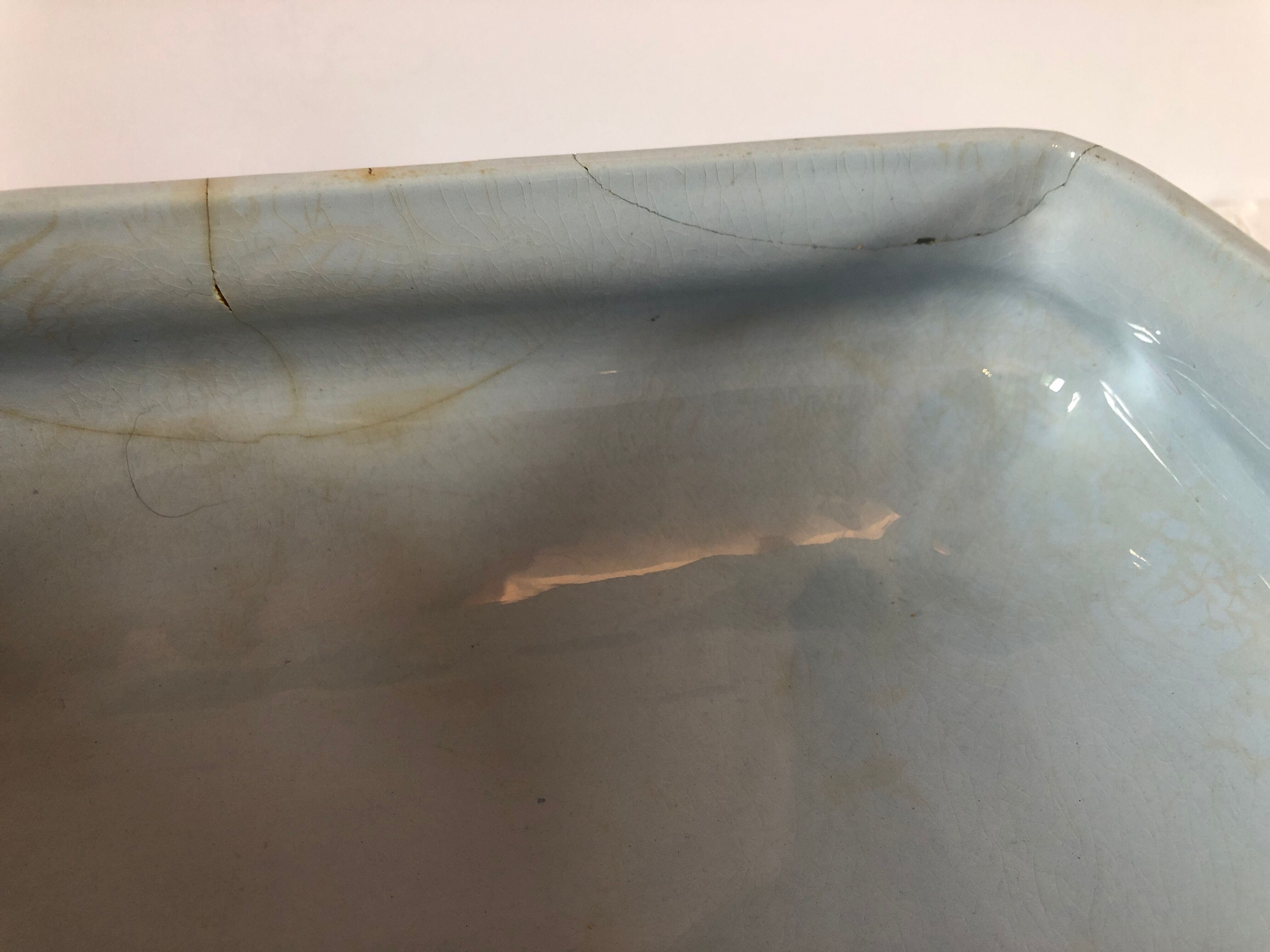 Blue vegetable in iron Earth