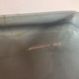 Blue vegetable in iron Earth