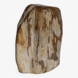 Free form sculpture in fossil wood