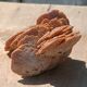 Natural sand rose