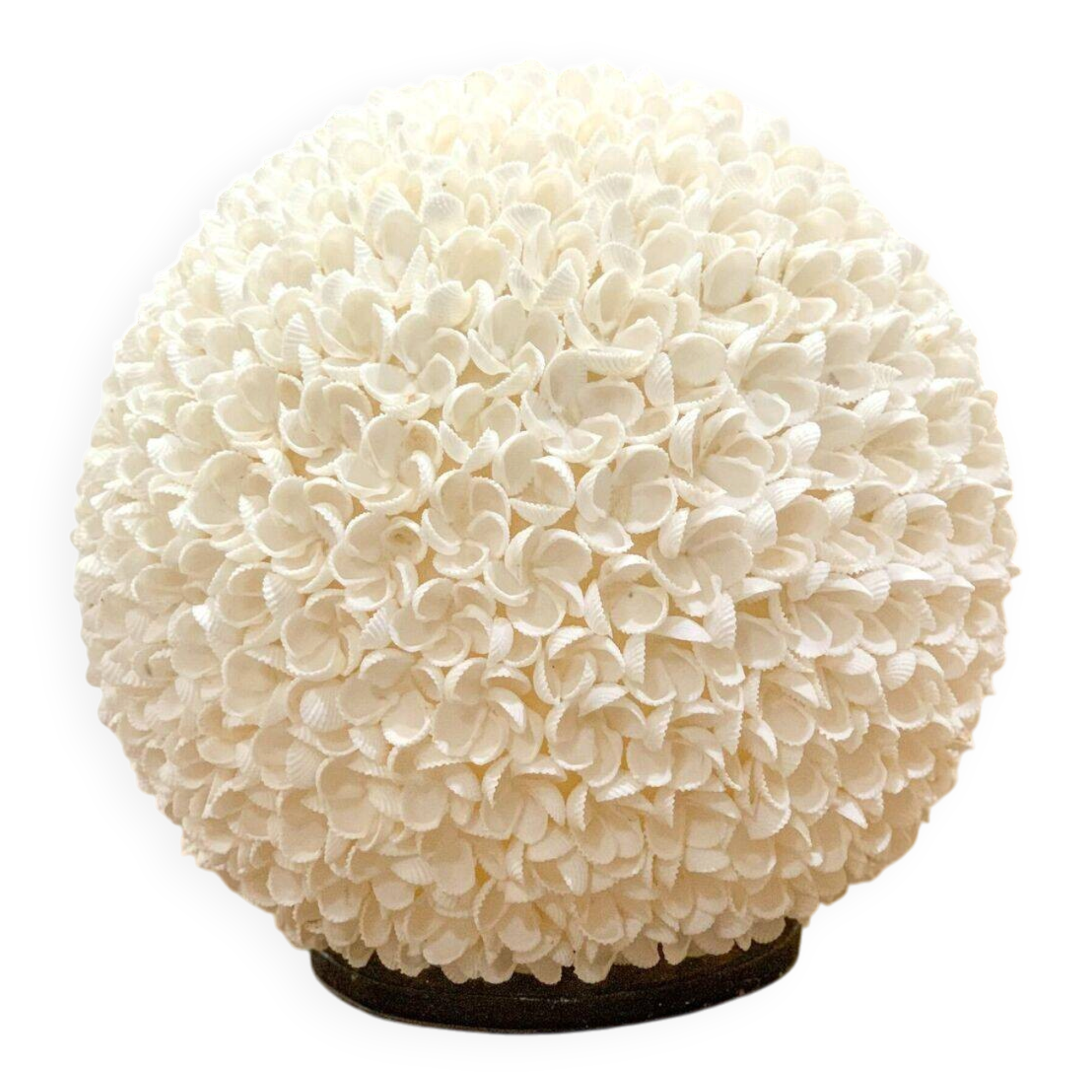 Lampe à poser en coquillages