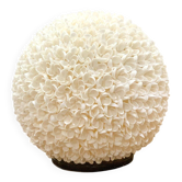 Shell table lamp
