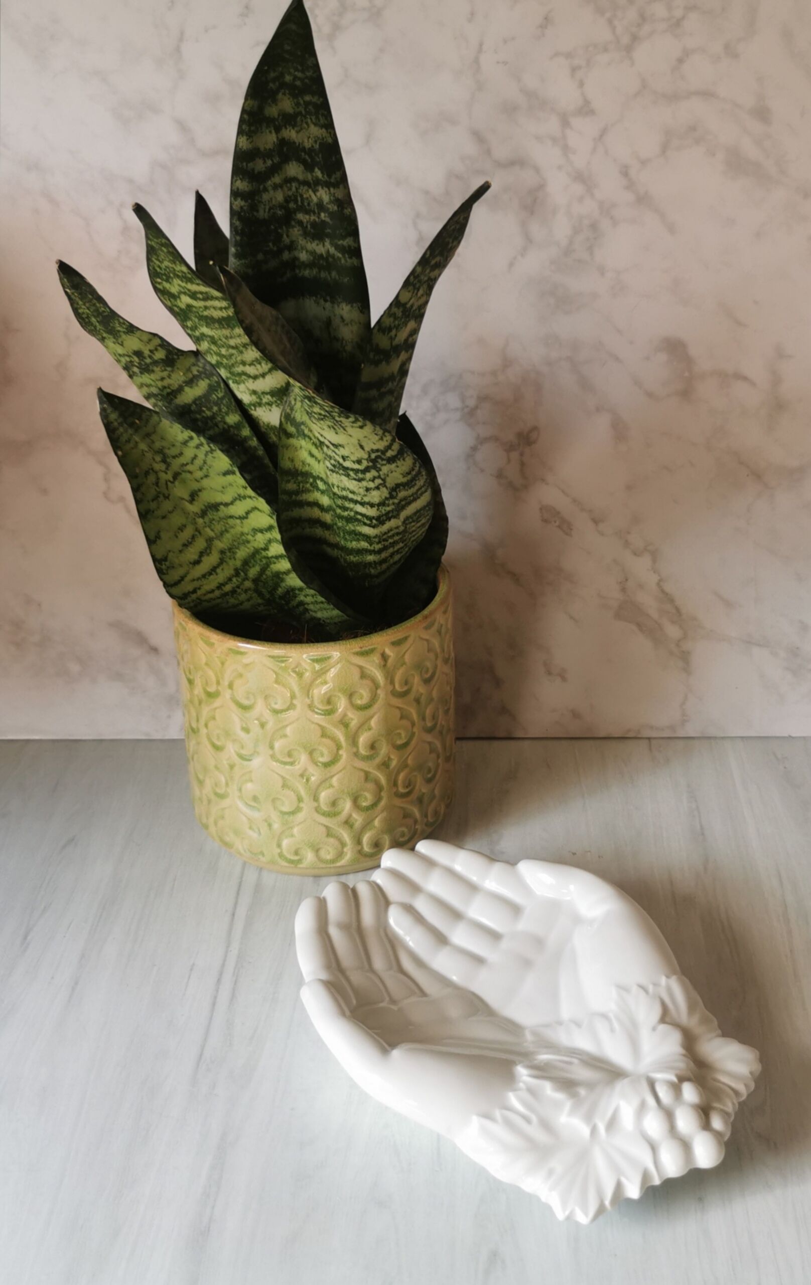 Empty pocket hands porcelain