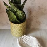 Empty pocket hands porcelain