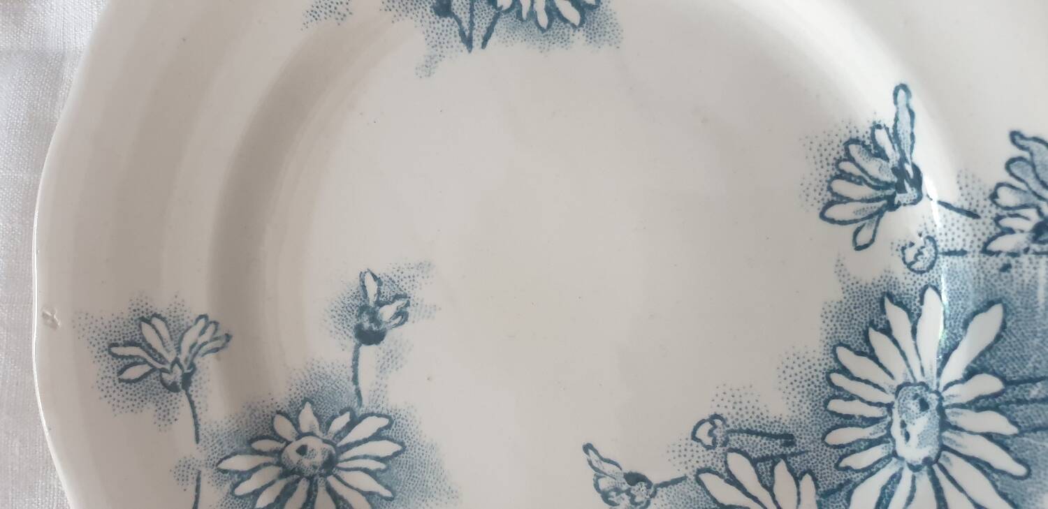 Four Marguerite plates